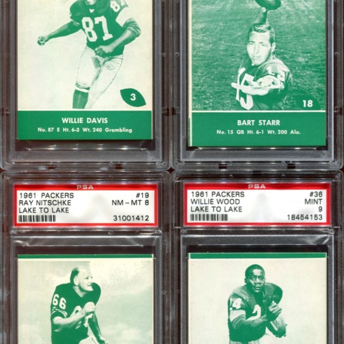 Bart Starr Green Bay Packers Framed 15 x 17 Hall of Fame Career Profile