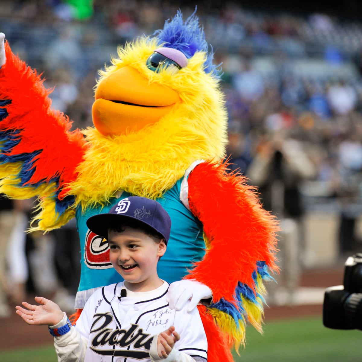 Children's San Diego Padres 101 Book