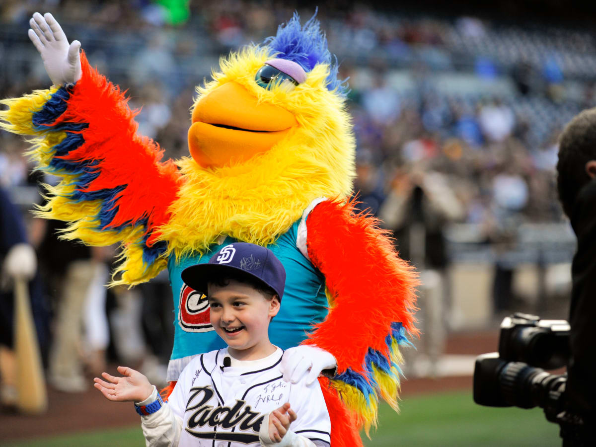 PHOTO GALLERY: Sox mascot makes surprise appearance to help open