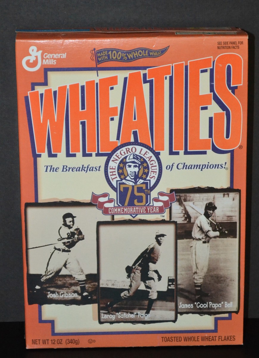 Celebrate 100 Years of the Negro Baseball Leagues with Books