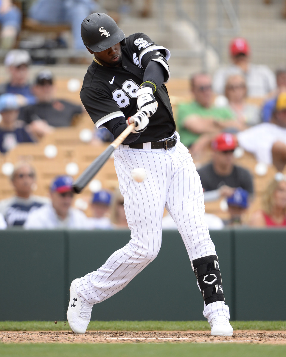 Michael Jordan Chicago White Sox  Ron Vesely Sports Photography