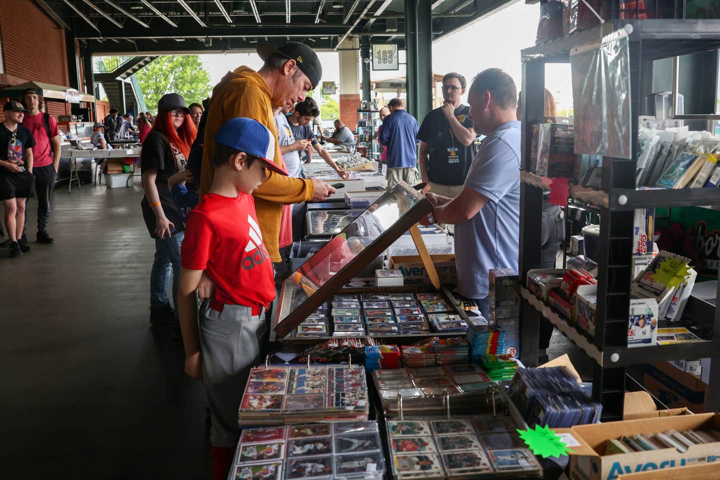 A father and son check out cards at First National Bank Field in Greensboro, N.C.
