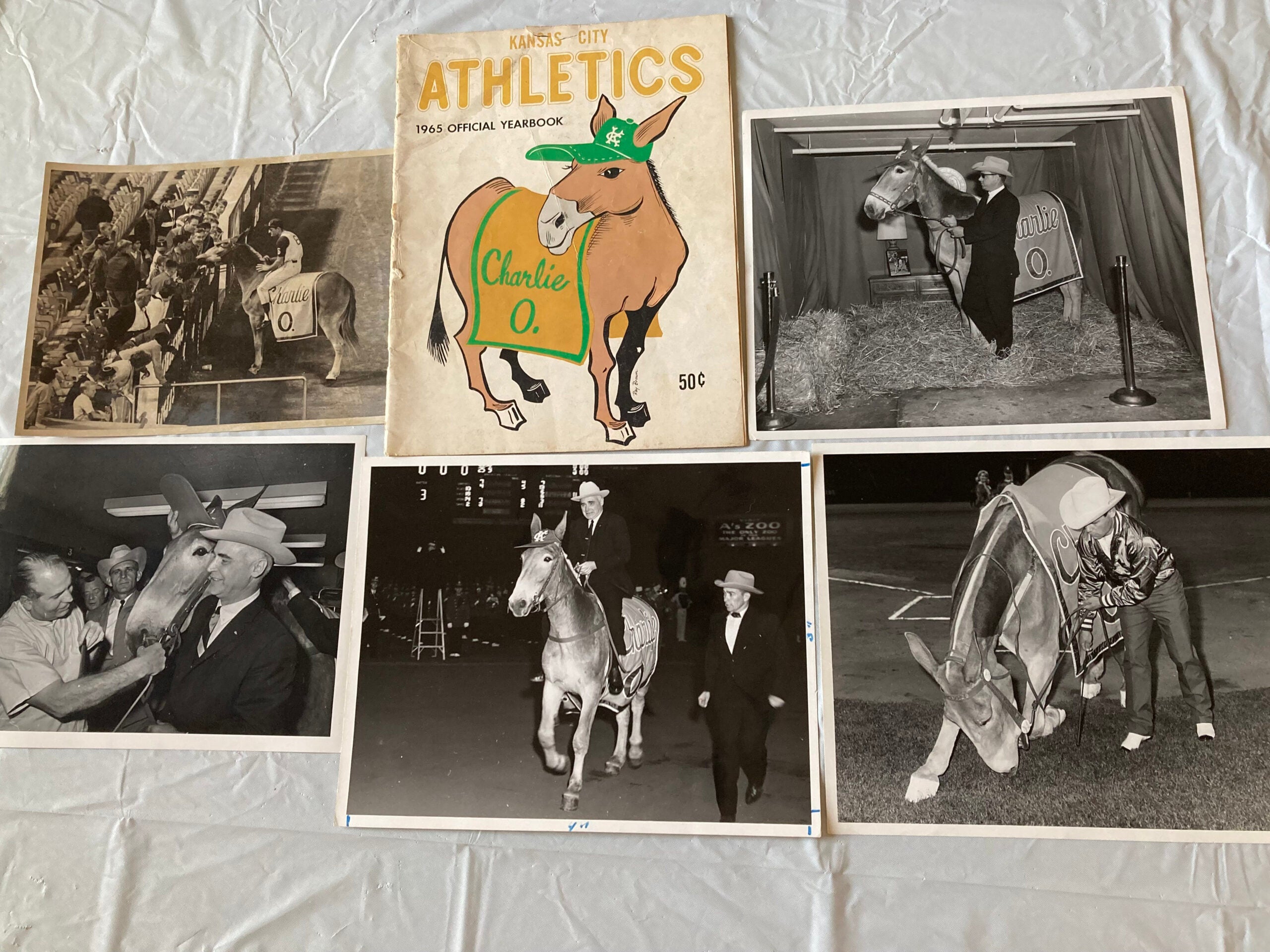 Yearbook and publicity photos featuring Charlie O. The Mule. 