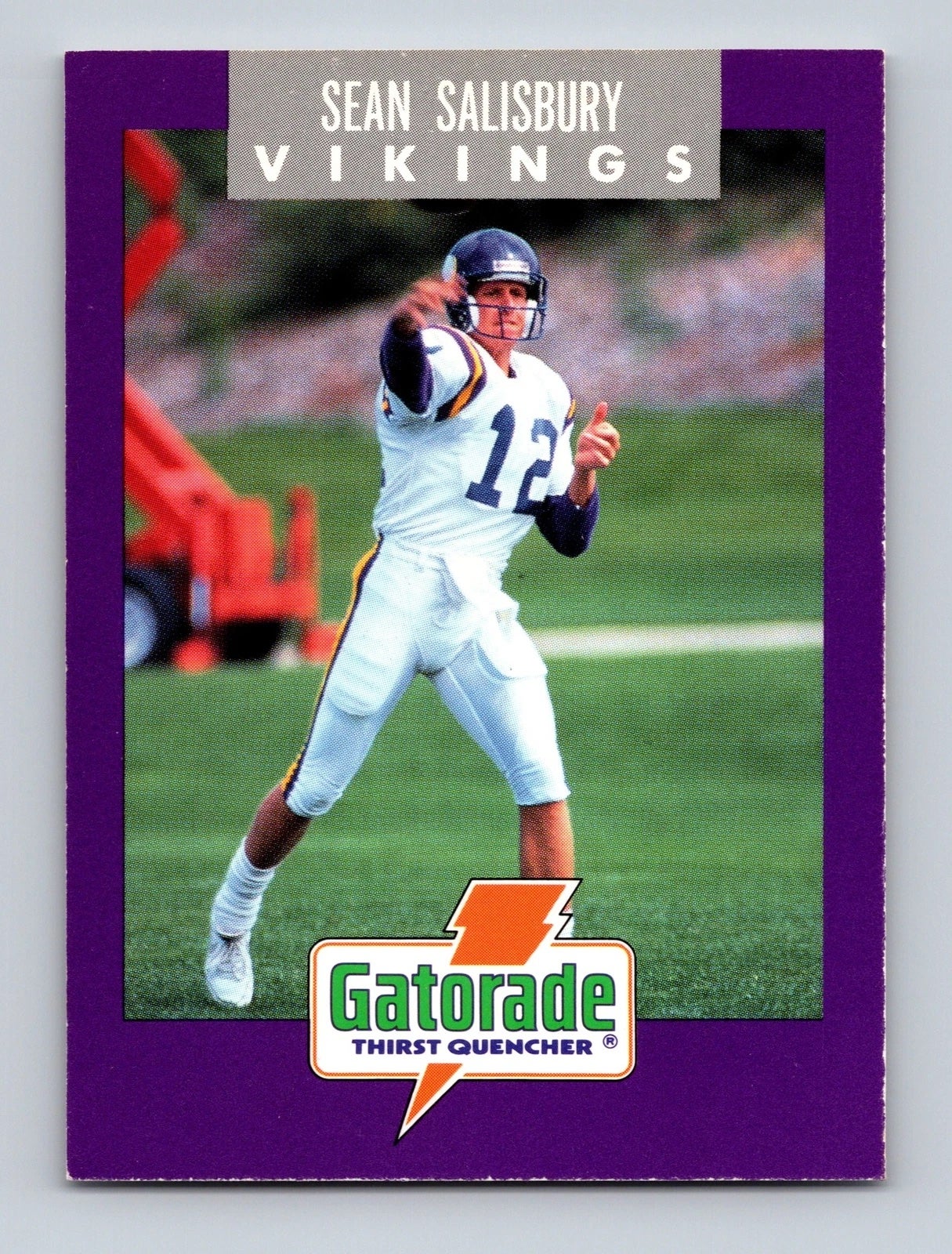 1991 Minnesota Vikings Sean Salisbury Police card. 
