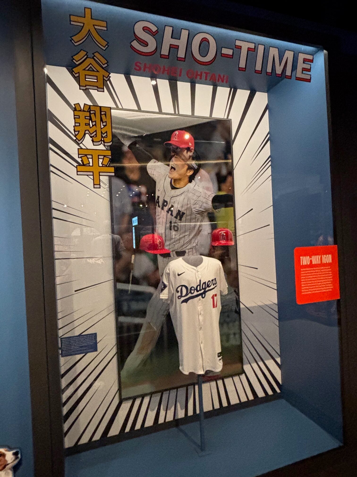 Shohei Ohtani's Japanese and MLB baseball career is prominently displayed at the Baseball Hall of Fame. 