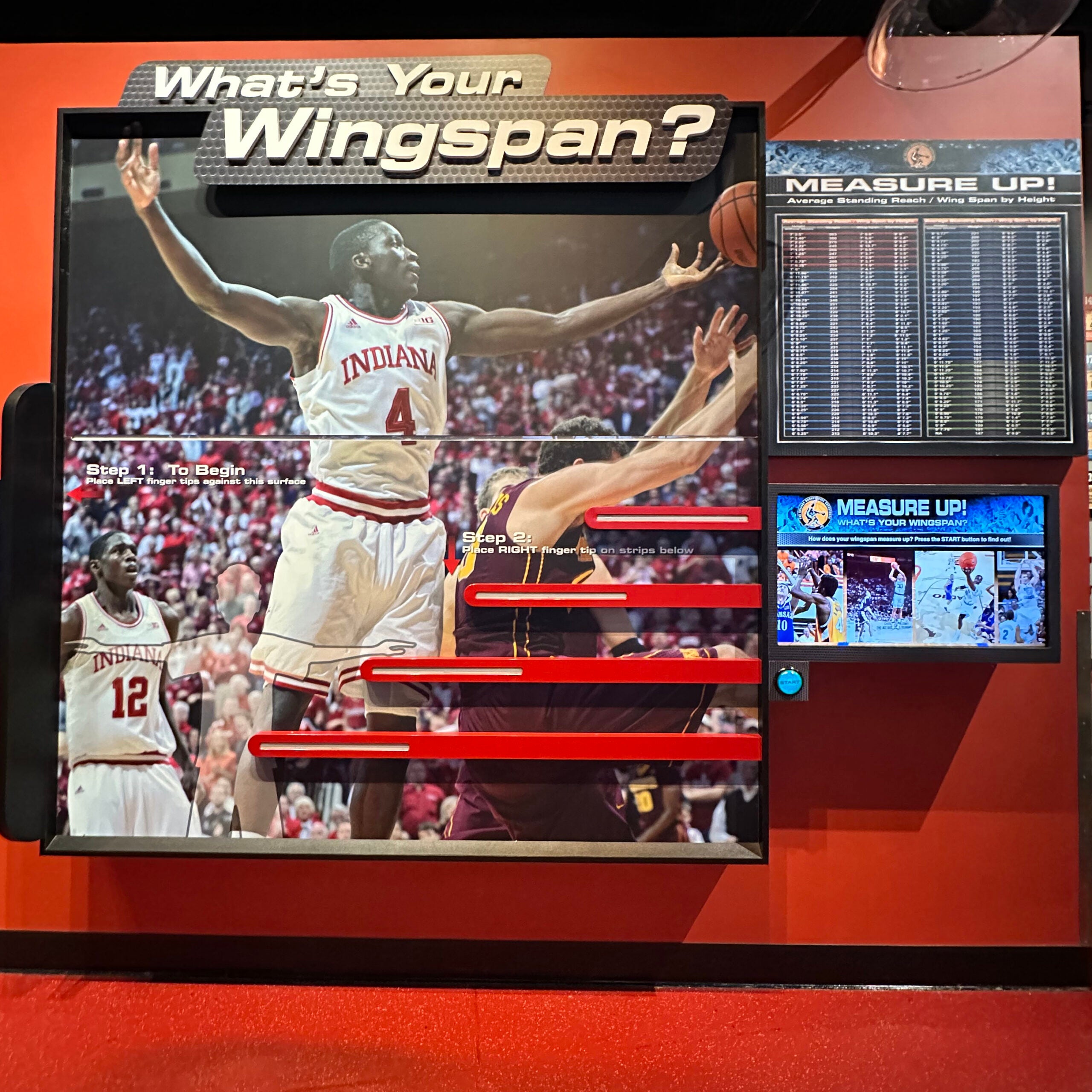 What's Your Wingspan exhibit at The College Basketball Experience.