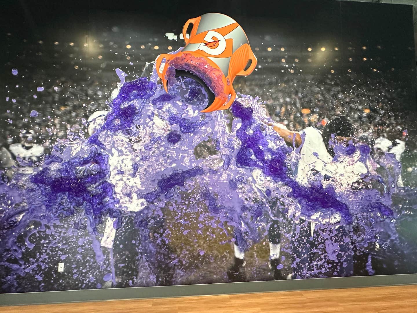 Minnesota Vikings Museum features shrines to legends Fran