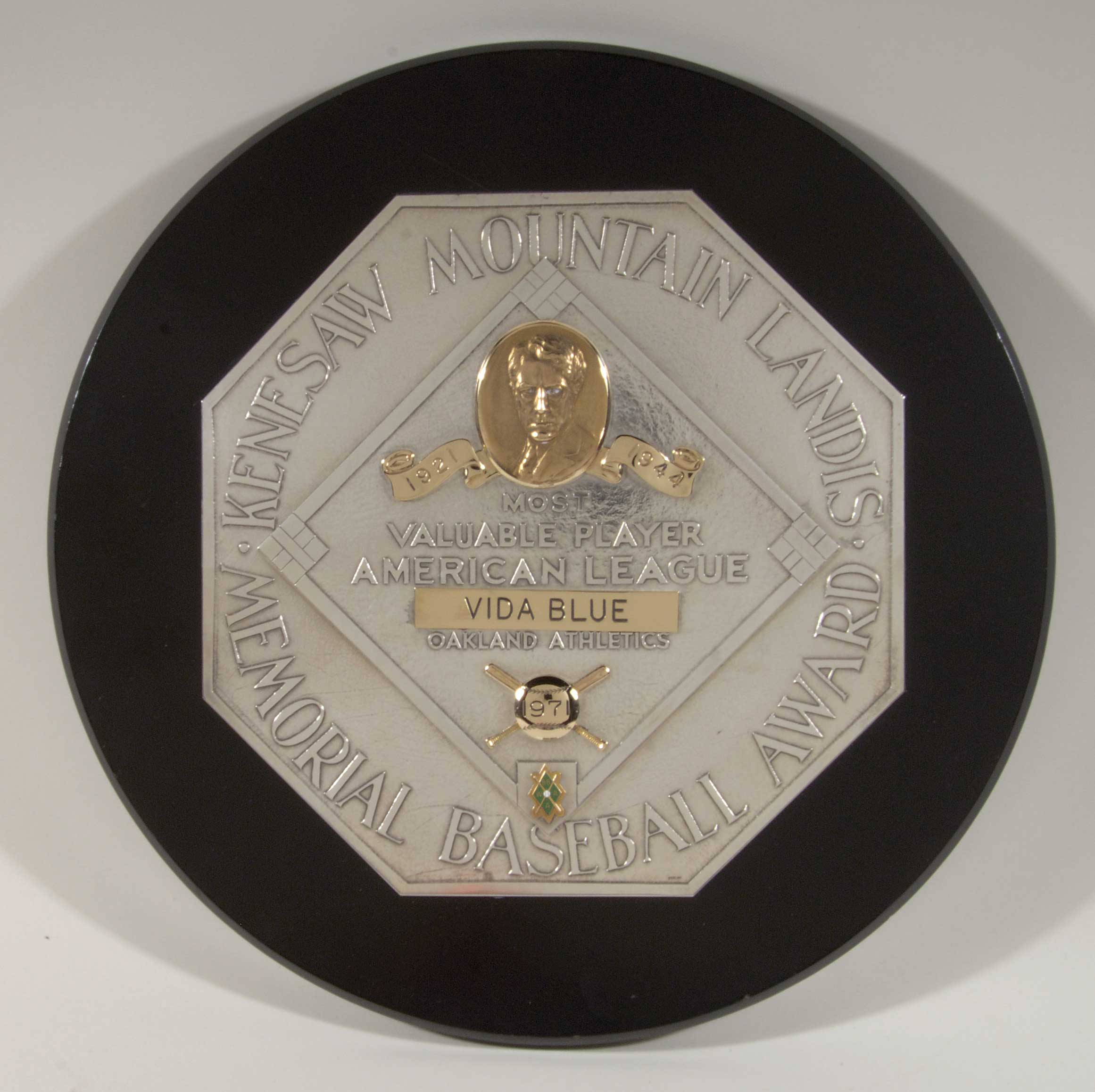vida-blue-plaque.jpg
