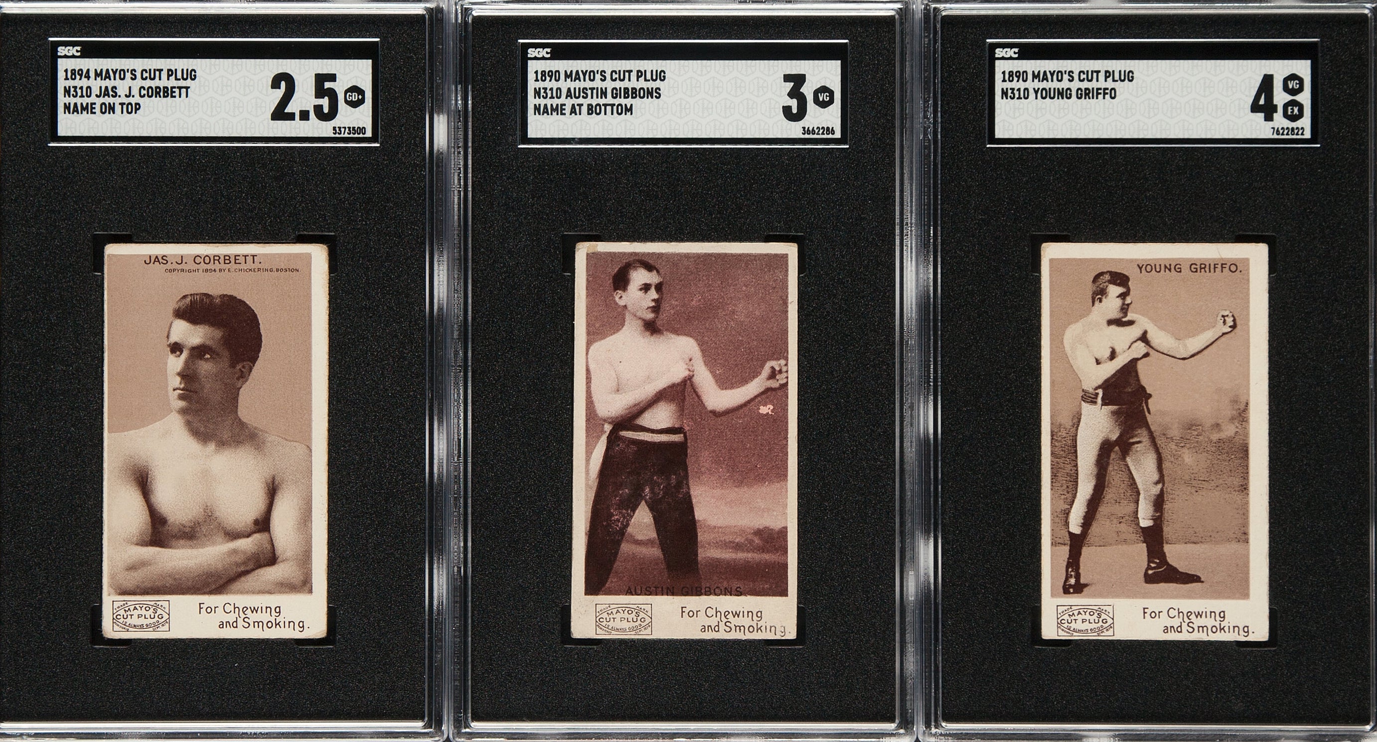 mayo-boxing-cards-2.jpg