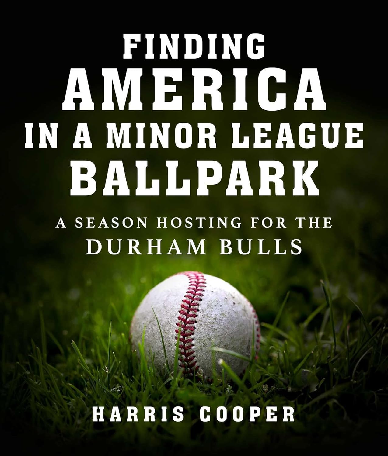 41-finding-american-in-a-minor-league-ballpark.jpg
